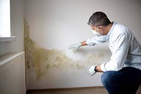 Best Air Quality Testing for Mold Spores  in Chubbuck, ID